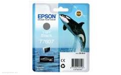 Картридж Epson T706 SC-P600 Light Black (C13T76074010) 