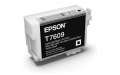 Картридж Epson T706 SC-P600 Light Light Black (C13T76094010)  Bakıda