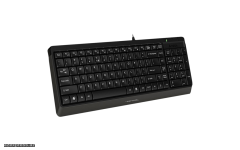 Клавиатура A4Tech Fstyler FK15 Black USB