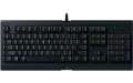 Klaviatura Razer Cynosa Lite- US Layout (RZ03-02740600-R3M1) Bakıda