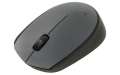 Мышь Logitech Wireless Mouse M170 Gray (910-004642)  Bakıda